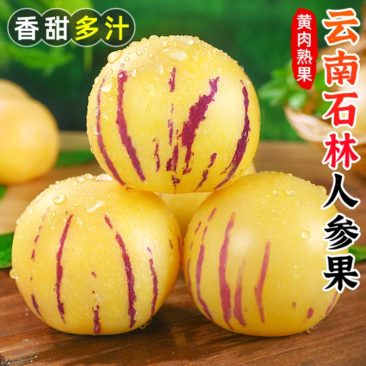 【香甜多汁】云南石林人参果1-9斤树上熟人生果云南人参果新鲜水果