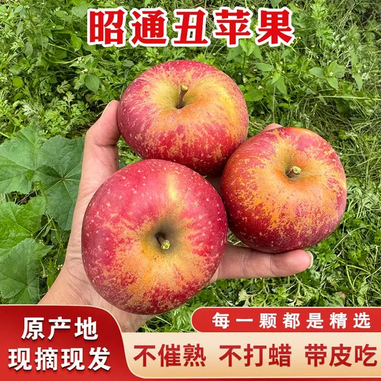 云南昭通红富士冰糖心丑苹果应季新鲜水果脆甜多汁现摘整箱包邮