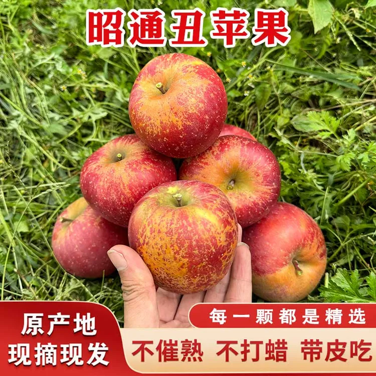 正宗云南昭通红富士冰糖心丑苹果脆甜多汁原产地新鲜采摘整箱包邮