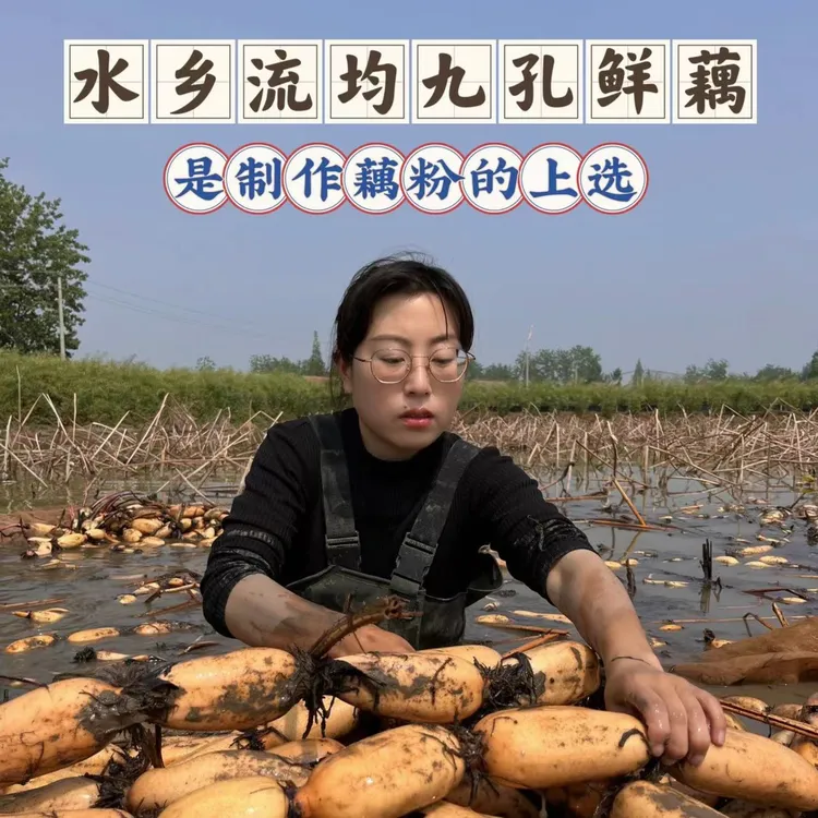 海燕家古法手工刀削纯藕粉 原味藕粉  绿色食品
