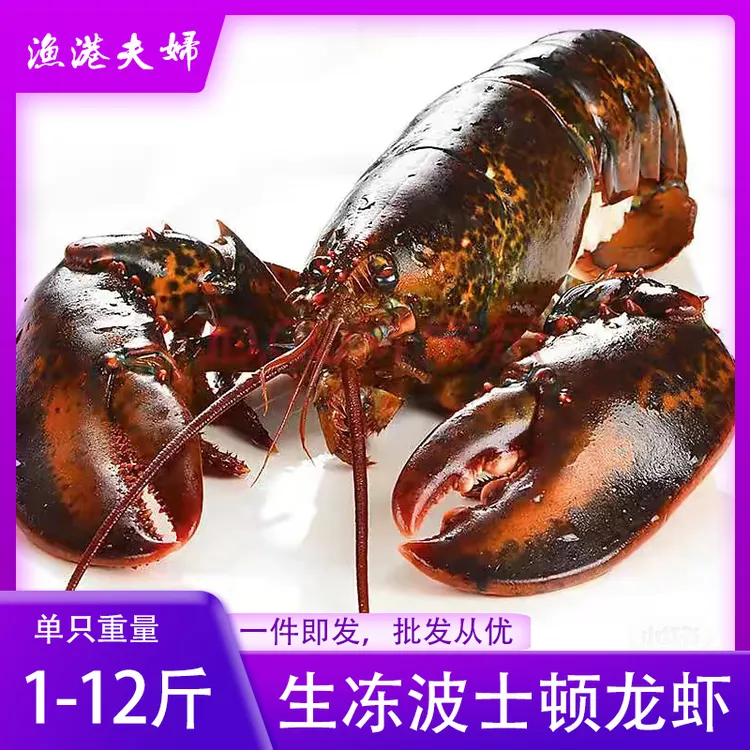 生冻波士顿龙虾新鲜速冻海鲜产品大龙虾澳洲龙虾波斯顿澳龙大龙虾