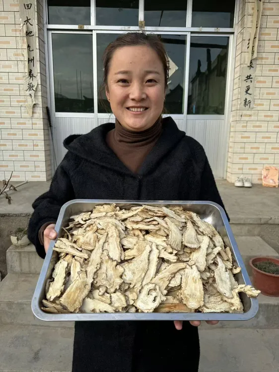 甘肃岷县当归头片（大片）原产地自家种植头部切片