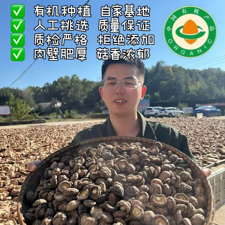 云逸家有机香菇 250克 包邮 金寨香菇 老品种 生态香菇