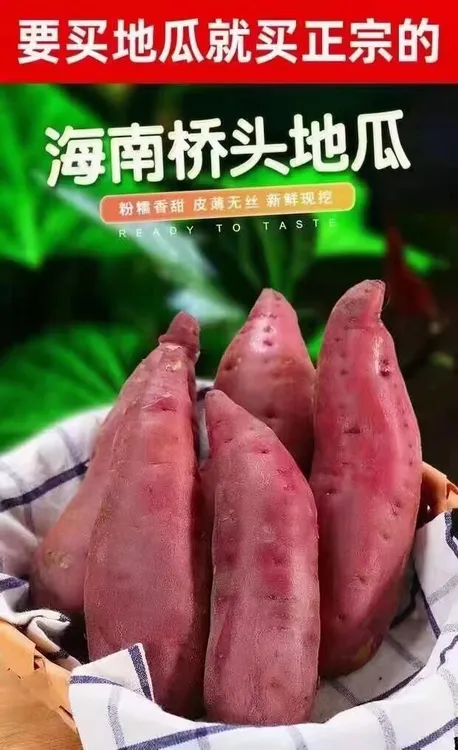 海南澄迈桥头富硒地瓜中果9斤送1斤