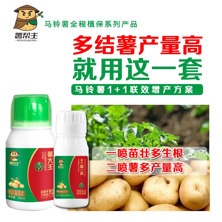 薯帮主薯大王根多薯一窝马铃薯土豆专用增产氮磷钾肥料1+1农肥