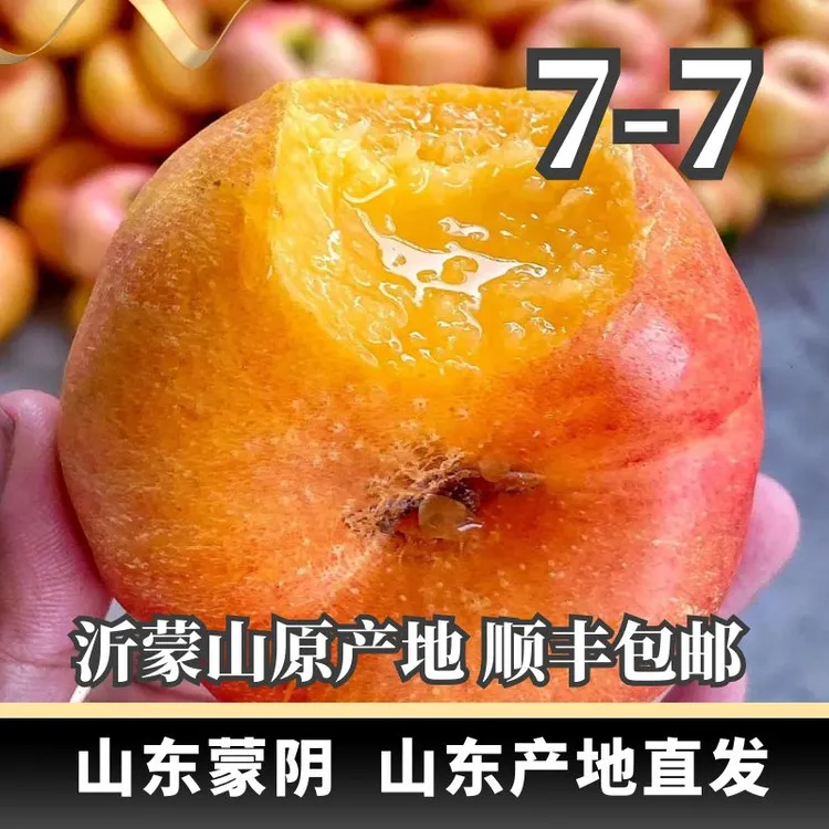 桃7-7彩虹蟠桃蒙阴蜜桃新鲜特产香甜皮【顺丰/京东包邮】