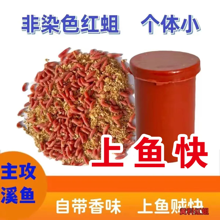 钓鱼鲜活红蛆虫鲫鱼公鱼鱼饵红色多种苍蝇宝宝鲜腥新鲜垂钓精腥味