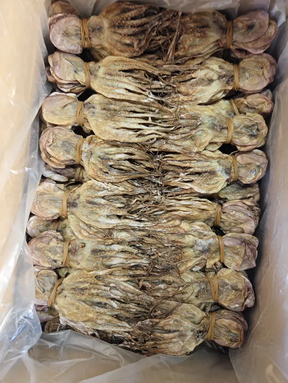 章鱼干度八爪鱼淡干无添加500克新鲜粿汁店煲汤
