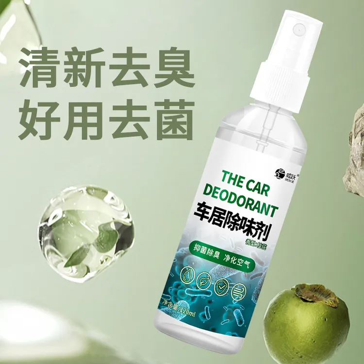 车内除异味除臭车用去味异味净化器杀菌剂汽车空调空气清新