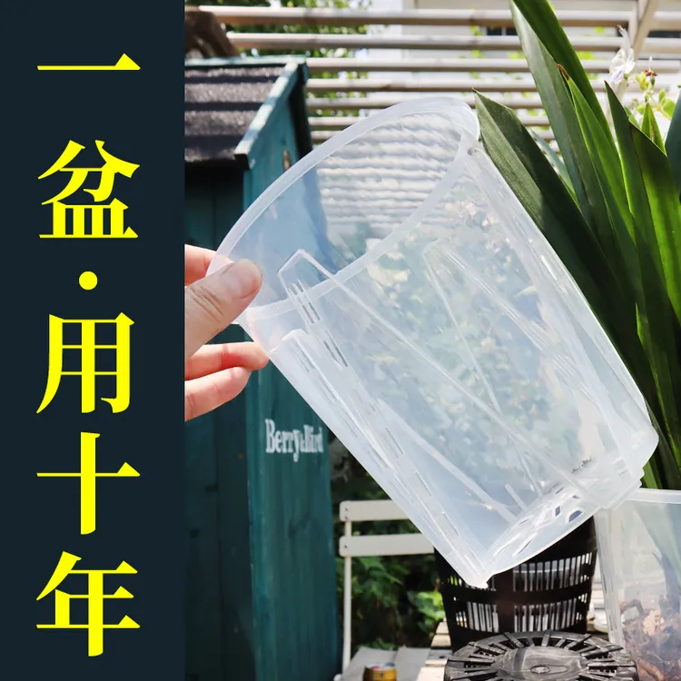 蝴蝶兰花盆青山盆控根兰花花盆打孔套盆控根盆透气蝴蝶兰花专用盆