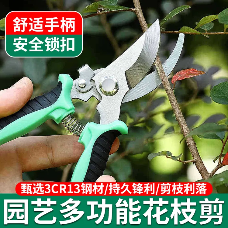 园艺剪刀修枝剪果树花卉修花剪刀专业园林绿化树枝剪子强力树剪刀