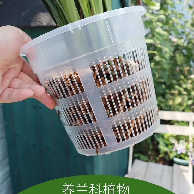 蝴蝶兰花盆蝴蝶兰专用花盆透气套盆控根盆营养钵育苗杯养兰花花盆