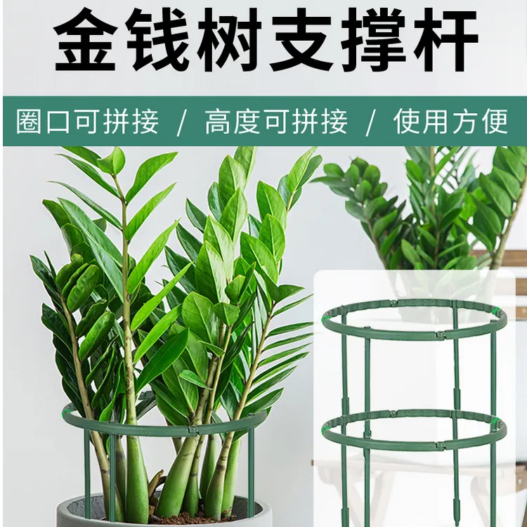 金钱树支撑杆可调节花架植物花盆支架托架兰花蟹爪兰花支架支撑杆