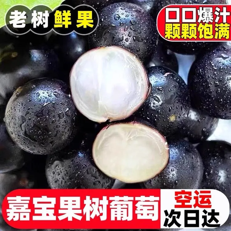 嘉宝果一件代发顺丰包邮一斤