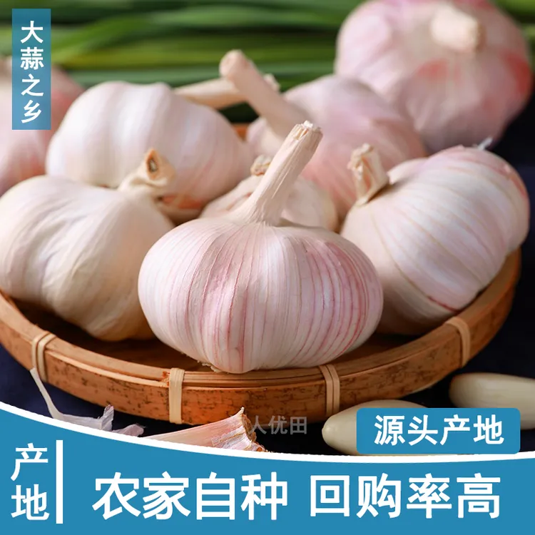 2025新晒干蒜2斤新干蒜大蒜农家直发大蒜头紫白皮大蒜
