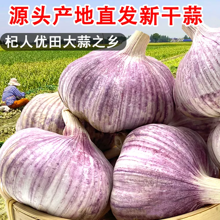 新粉！5斤2025新晒干蒜紫白皮大蒜产地直发大蒜头大蒜1斤3斤9斤