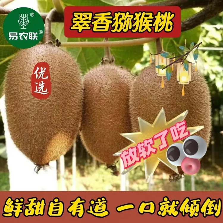精选陕西周至翠香新鲜营养猕猴桃奇异果香甜2/5斤一口就倾倒包邮