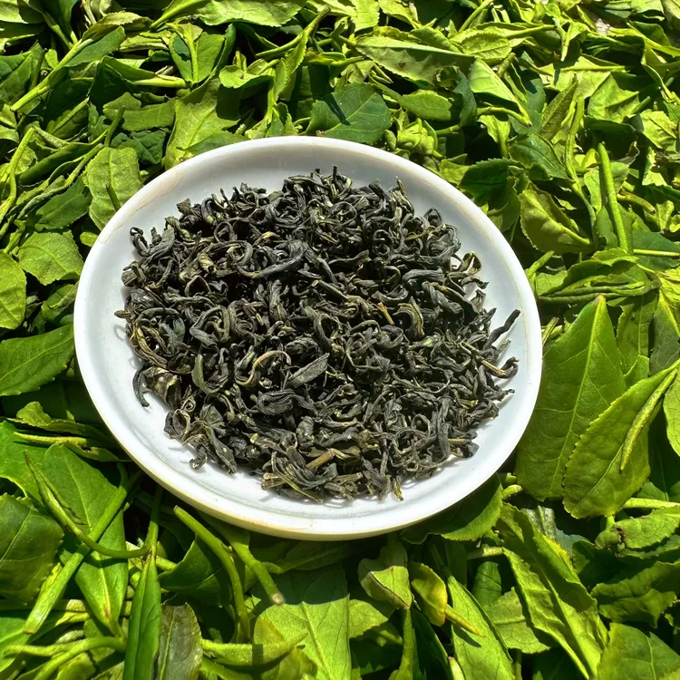 【尝鲜装】2023日照绿茶露天 5月春茶 鲜爽回甘 尝鲜袋装