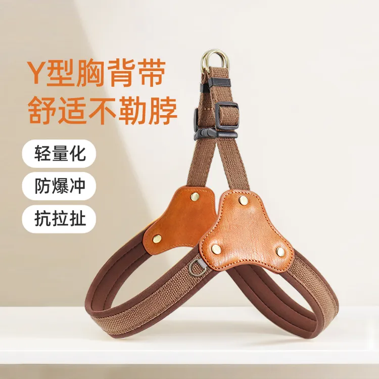 狗狗绳狗胸背牵引绳固定比熊背带中型柯基法斗柔软背心式遛狗舒适