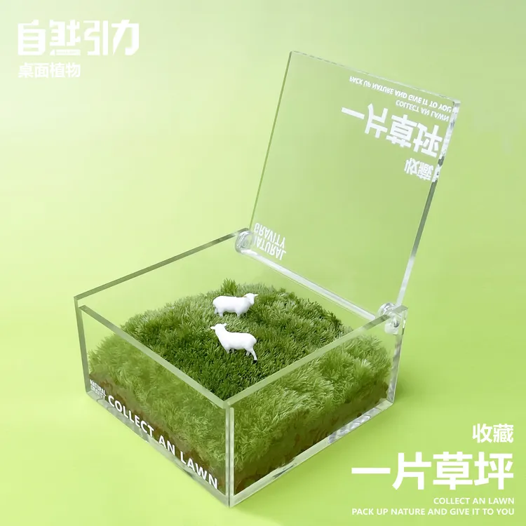 一片草坪自然引力官方牛马摆件桌面植物苔藓微景观生态瓶走心礼物