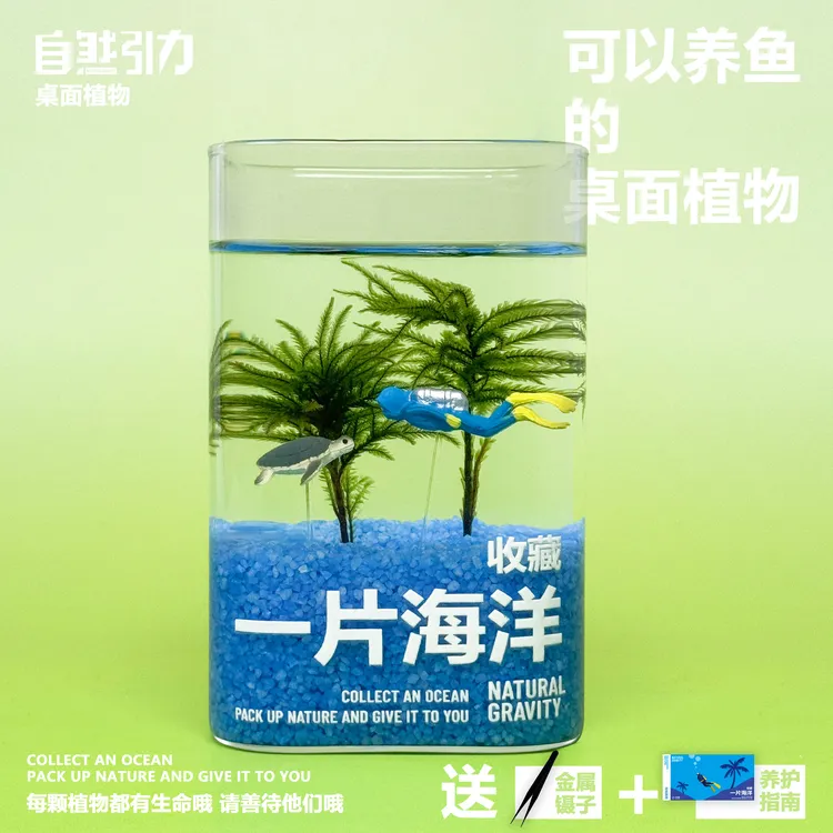 自然引力 一片海洋微景观水培桌面小鱼缸创意绿植可养鱼送人礼物