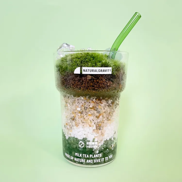 自然引力- 抹茶拿铁 创意办公桌面植物鲜活苔藓微景观DIY绿植礼品