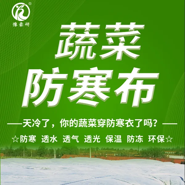 农用蔬菜专用防寒布农用无纺布大田防寒布二膜三模用冬季越冬