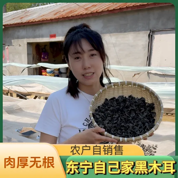 2024新木耳东宁黑木耳东北黑木耳头茬黑木耳现摘直发肉厚无根好吃