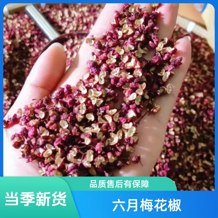 甘肃六月梅花椒干货花椒麻香鲜产地直销价格优正宗花椒