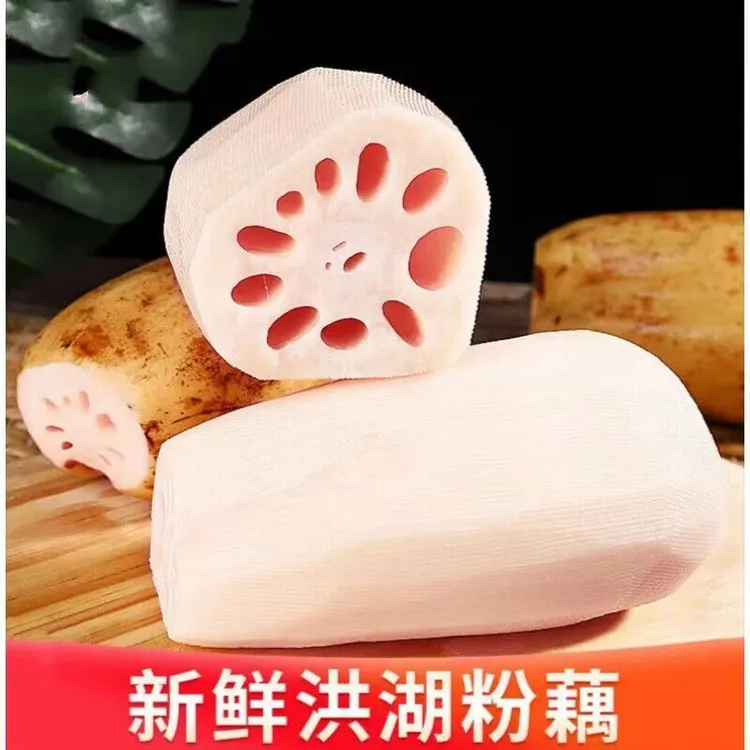 湖北莲藕新粉藕洪湖九孔糯米藕煲汤粉藕现挖莲藕面藕新鲜蔬菜批发