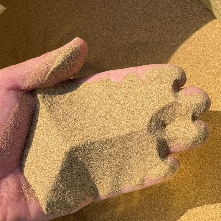 沙子细沙天然细沙沙漠沙儿童玩沙鱼缸造景沙仓鼠沙蜥蜴沙乌龟沙鼠
