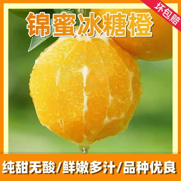 【湖南麻阳锦蜜冰糖橙】新鲜正宗冰糖橙之乡甜橙现摘现发当季水果
