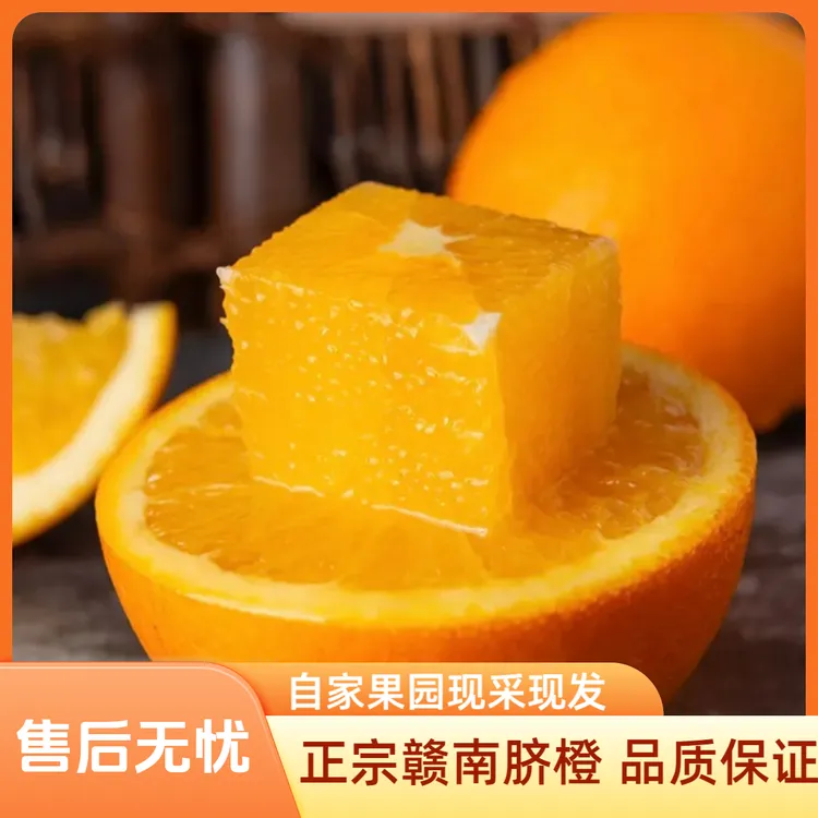 正宗赣南脐橙新鲜采摘寻乌果园包邮直发应季孕妇
