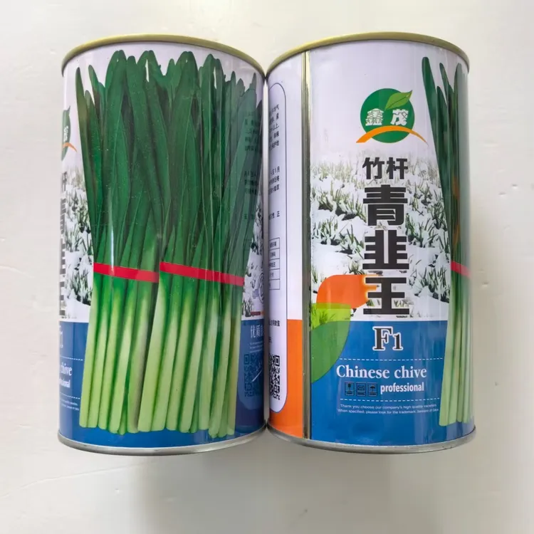 竹杆青韭王韭菜种子耐寒韭菜籽抗寒雪韭露地大棚露天不休眠韭菜子