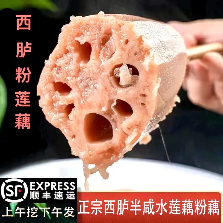 正宗西胪半咸水粉莲藕5斤顺丰快递