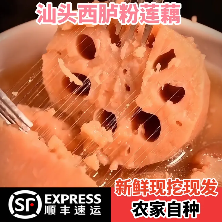 乡里阿蓉【西胪半咸水莲藕】嫩粉食用糯香连泥带土现挖现发顺丰
