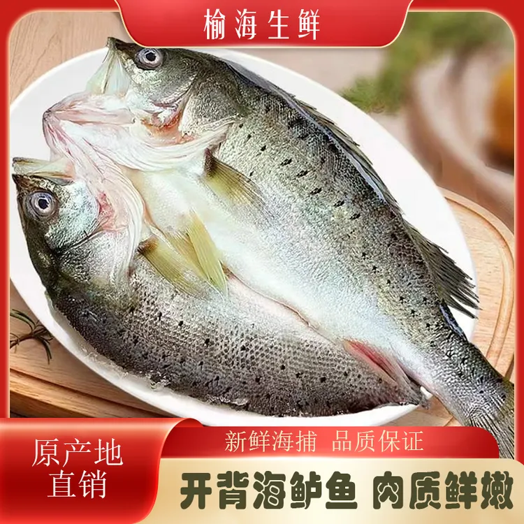 新鲜速冻开背海鲈鱼鲜活深海鲈鱼400-500g/条鲜美嫩去鳞烹饪食材