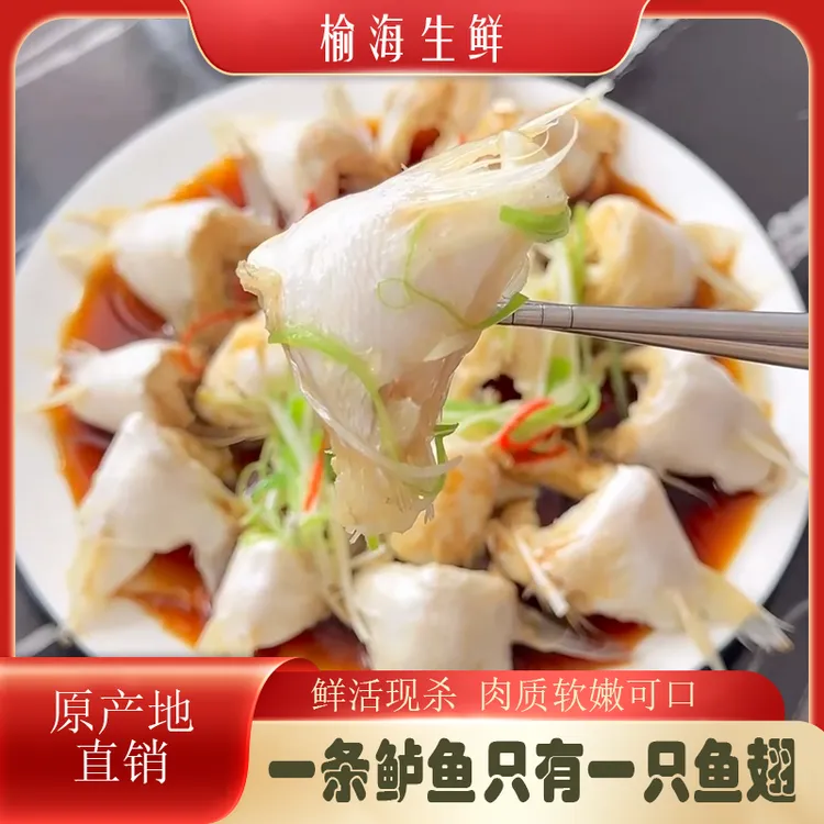 鲜嫩新鲜鲈鱼翅速冻现切肉质鲜美冷冻美味烹饪连云港发货 250g/包