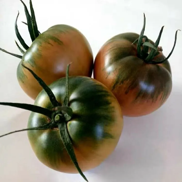 大连旅顺草莓柿子，铁柿子正宗碱地柿子，净重五斤。自然