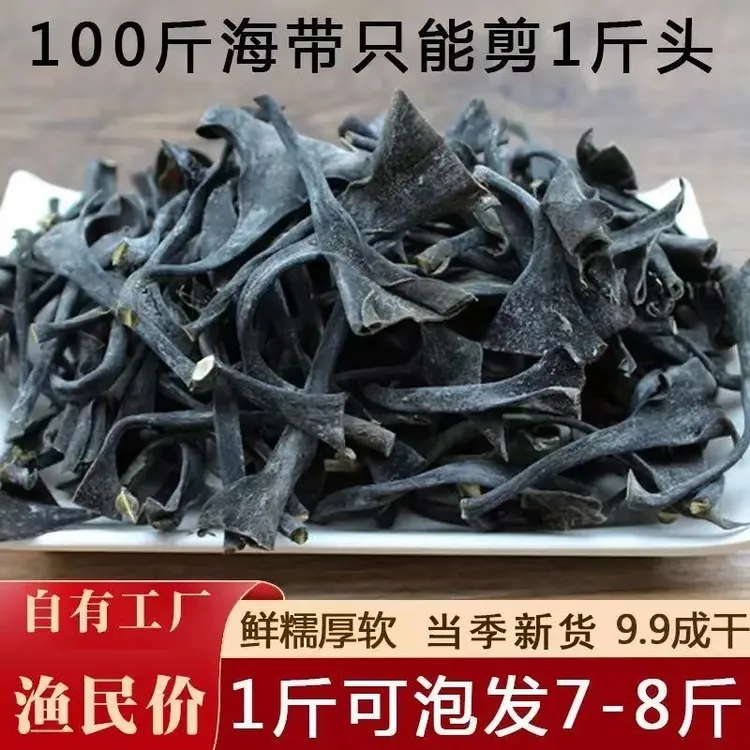 霞浦新鲜日晒海带头原产地直供产品厚实海带营养干净凉拌新货食材