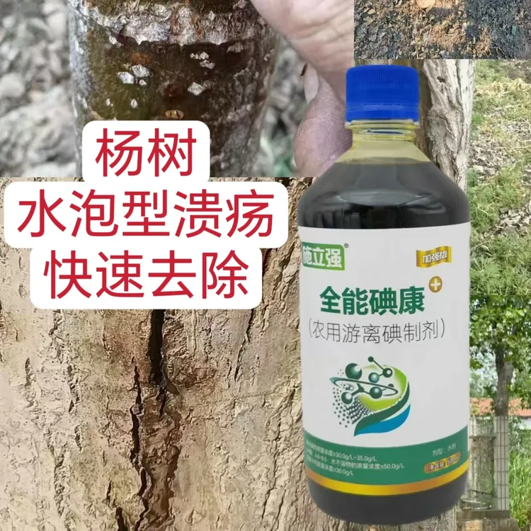 杨树病害清一溃疡水泡大斑烂皮裂皮林木通用果树流胶