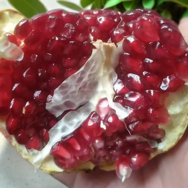 河南河阴软籽石榴新鲜当季水果香甜可口