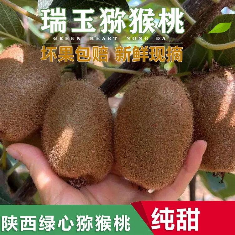 新品瑞玉猕猴桃 纯甜陕西绿心猕猴桃孕妇水果奇异果净含量4-5斤