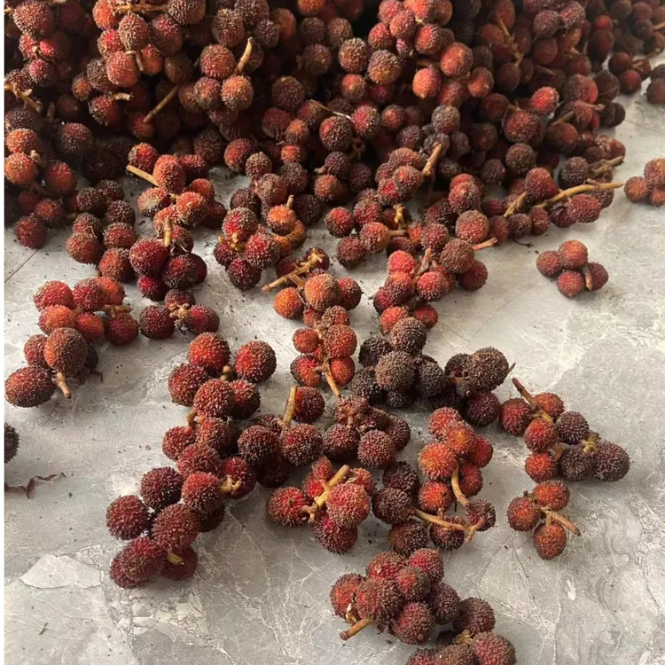 新鲜砂仁果阳春品种湿沙仁500g起包邮广东阳春发货