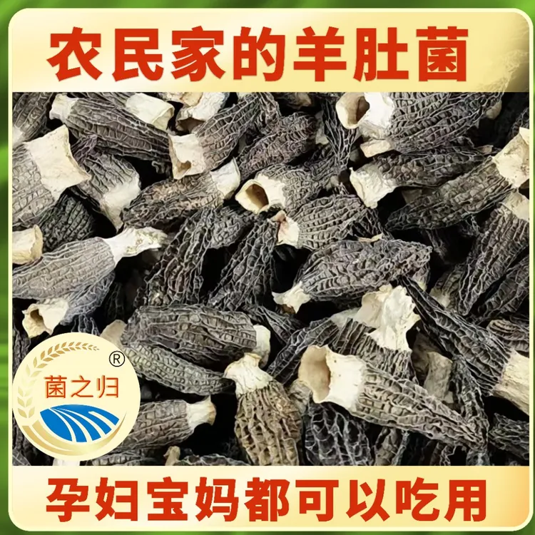 【菌之归】羊肚菌50g*1/袋 5-7公分 陕西特产羊肚菌干货煲汤营养