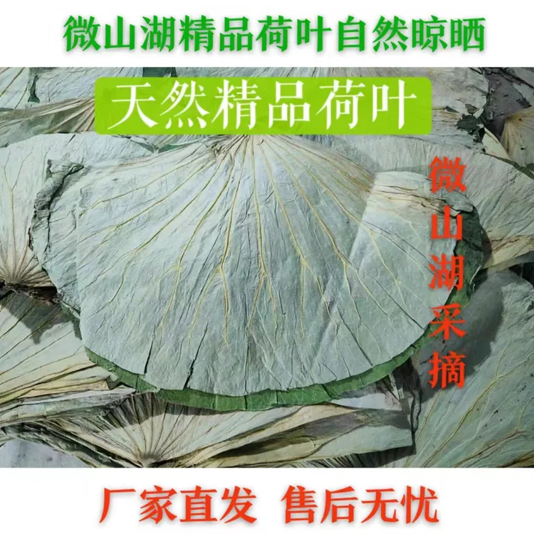 微山湖整张干荷叶糯米鸡荷叶饭荷叶粥叫花鸡专用荷叶家庭荷叶茶