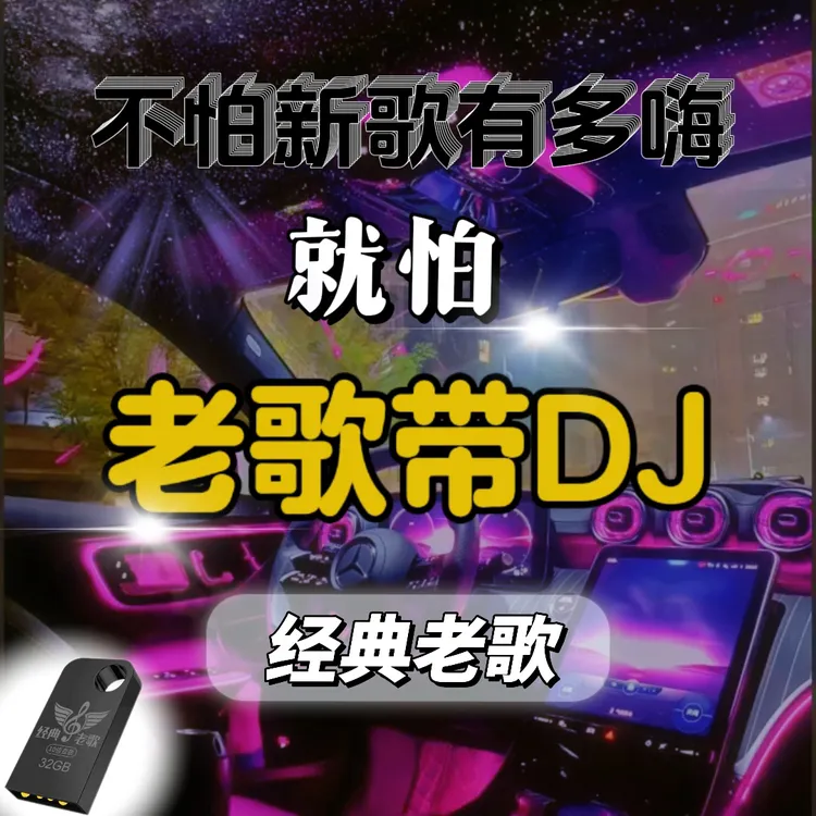 《DJ路歌》32G专属通用高音质汽车创意车载盘