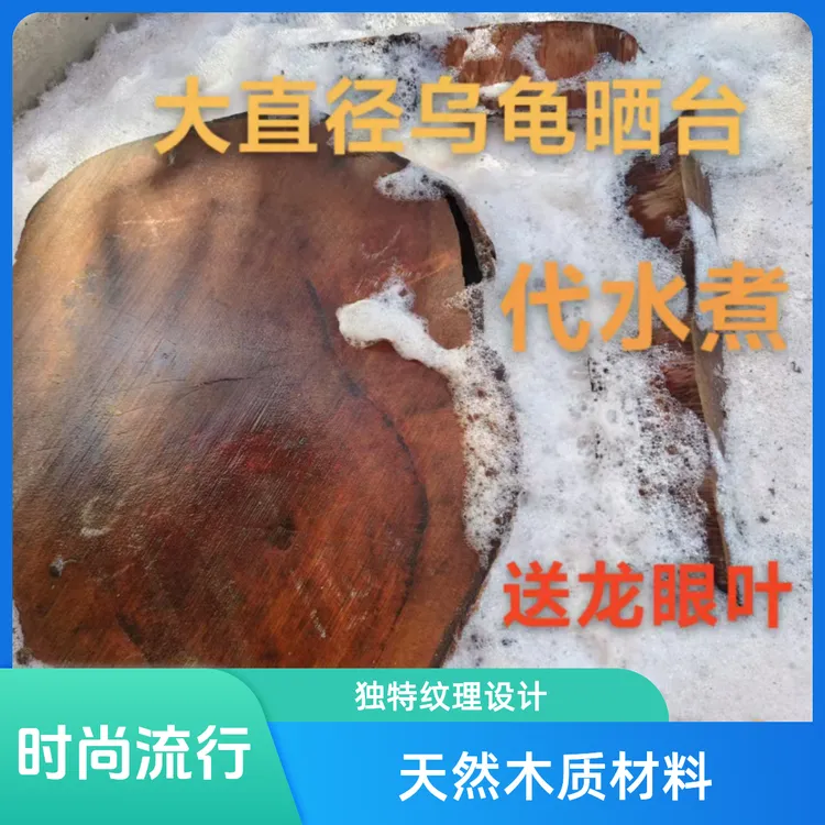 大直径沉木乌龟晒台木头乌龟休息台龟缸摆件防治腐皮腐甲