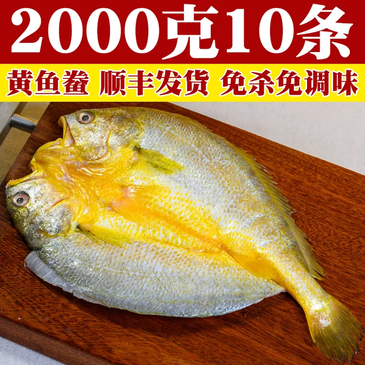 【2000g10条】宁德黄鱼鲞正宗黄花鱼大黄鱼腌制醇香新鲜冷冻非干货