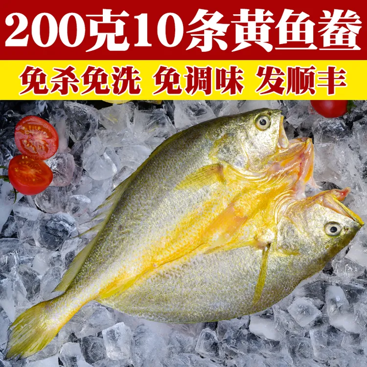 【200gx10条】宁德黄鱼鲞正宗黄花鱼三去大黄鱼腌制醇香克非半干货